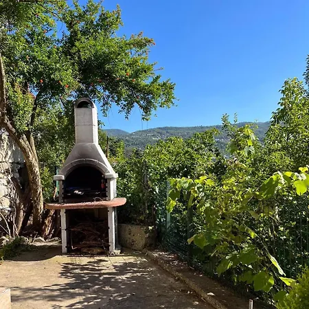 Bahçeli Ve Göl Manzaralı Ev * Sapanca