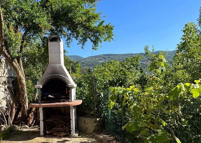 Bahçeli Ve Göl Manzaralı Ev * Sapanca